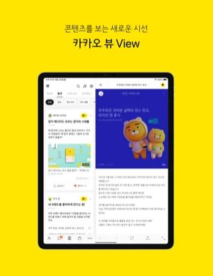 Kakao Visualizza iPad